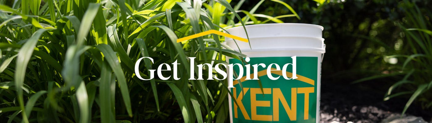Kent Blog Banner Kent-Blog