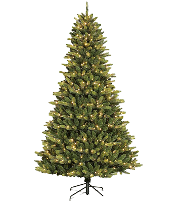 Merric fir tree image