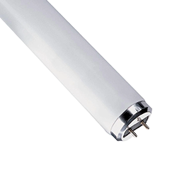 Fluorescent Bulbs Image