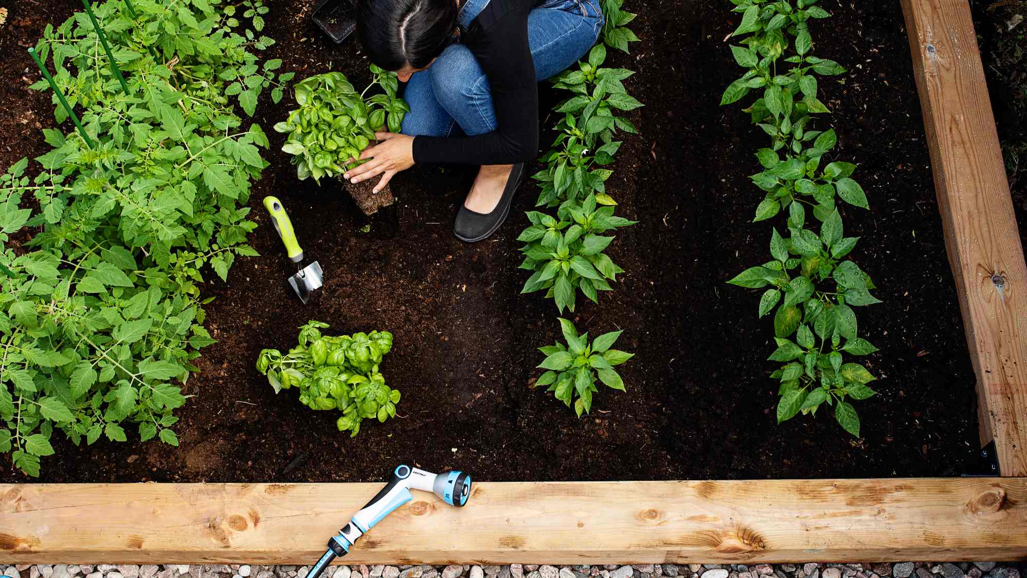 garden beds