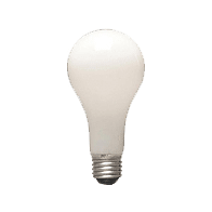 LIGHT BULBS