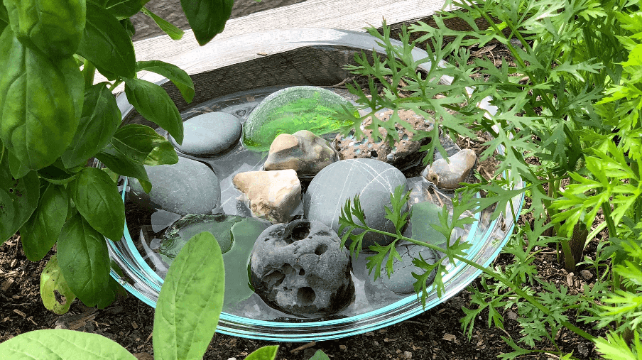 basin of water and stone for bees