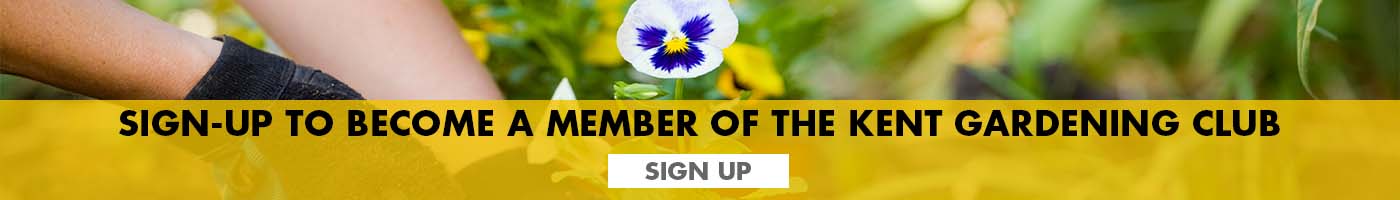 Sign up