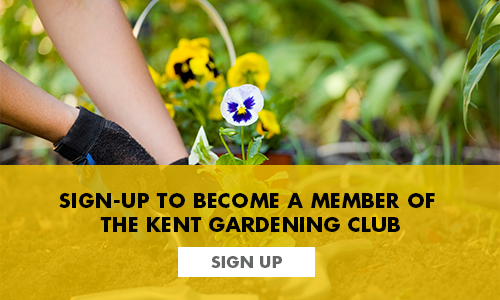 Sign up