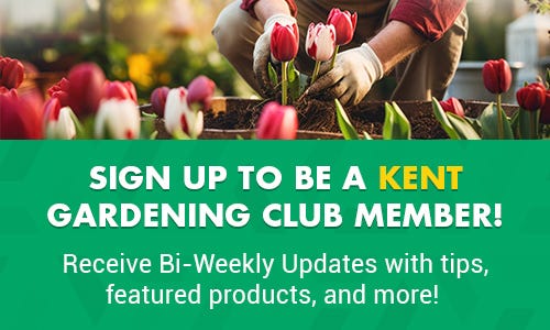 Sign Up to be KENT Gardening Club Member Sign Up to be KENT Gardening Club Member Banner