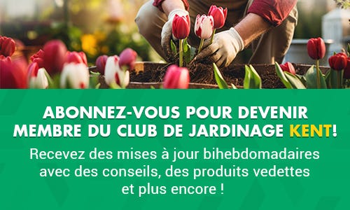 Inscrivez-vous pour être bannière membre du KENT Gardening Club Inscrivez-vous pour être bannière membre du KENT Gardening Club