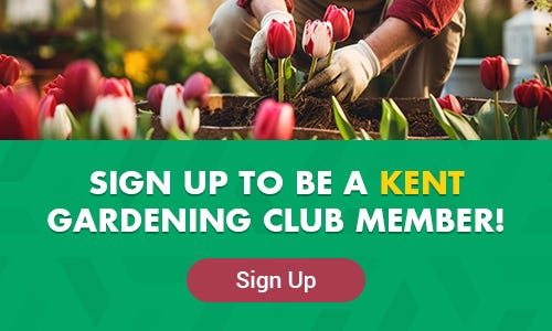 Gardening Emailer Banner