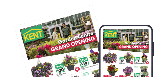 Weekly Flyer English image