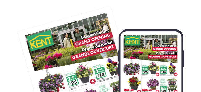 Weekly Flyer French image