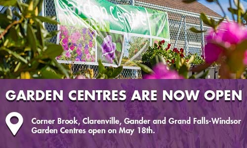Garden centres dates