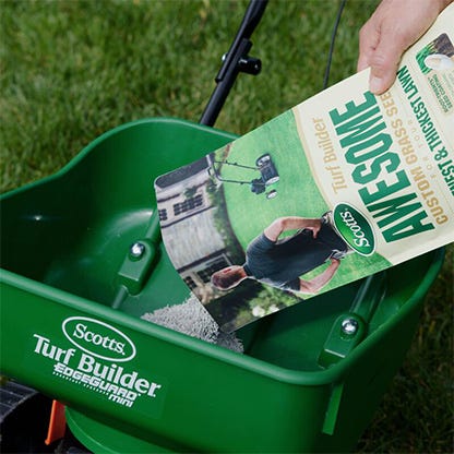 Grass seed image