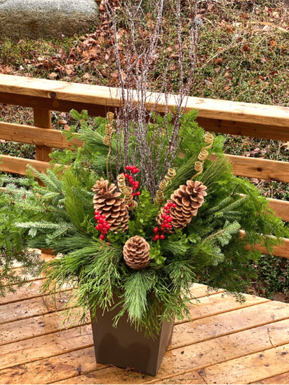 How to Create a Winter Planter